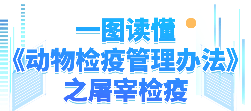 画板 1.jpg