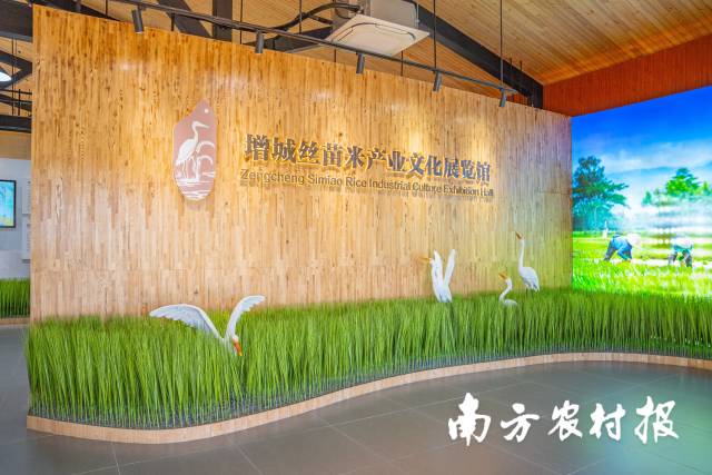 位于增城区朱村街道丝苗米省级现代农业产业园内的增城丝苗米产业文化展览馆