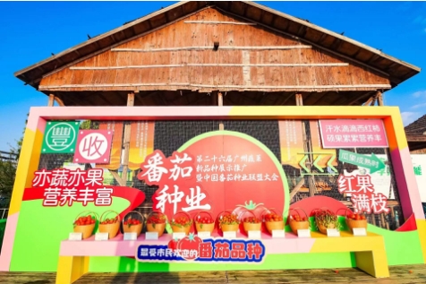 微信截图_20231213101939.png