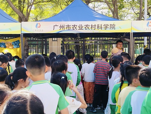 图片24050.jpg