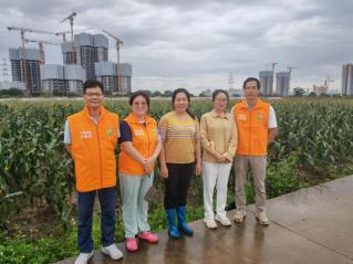 截图录屏_选择区域_20250526094428.jpg
